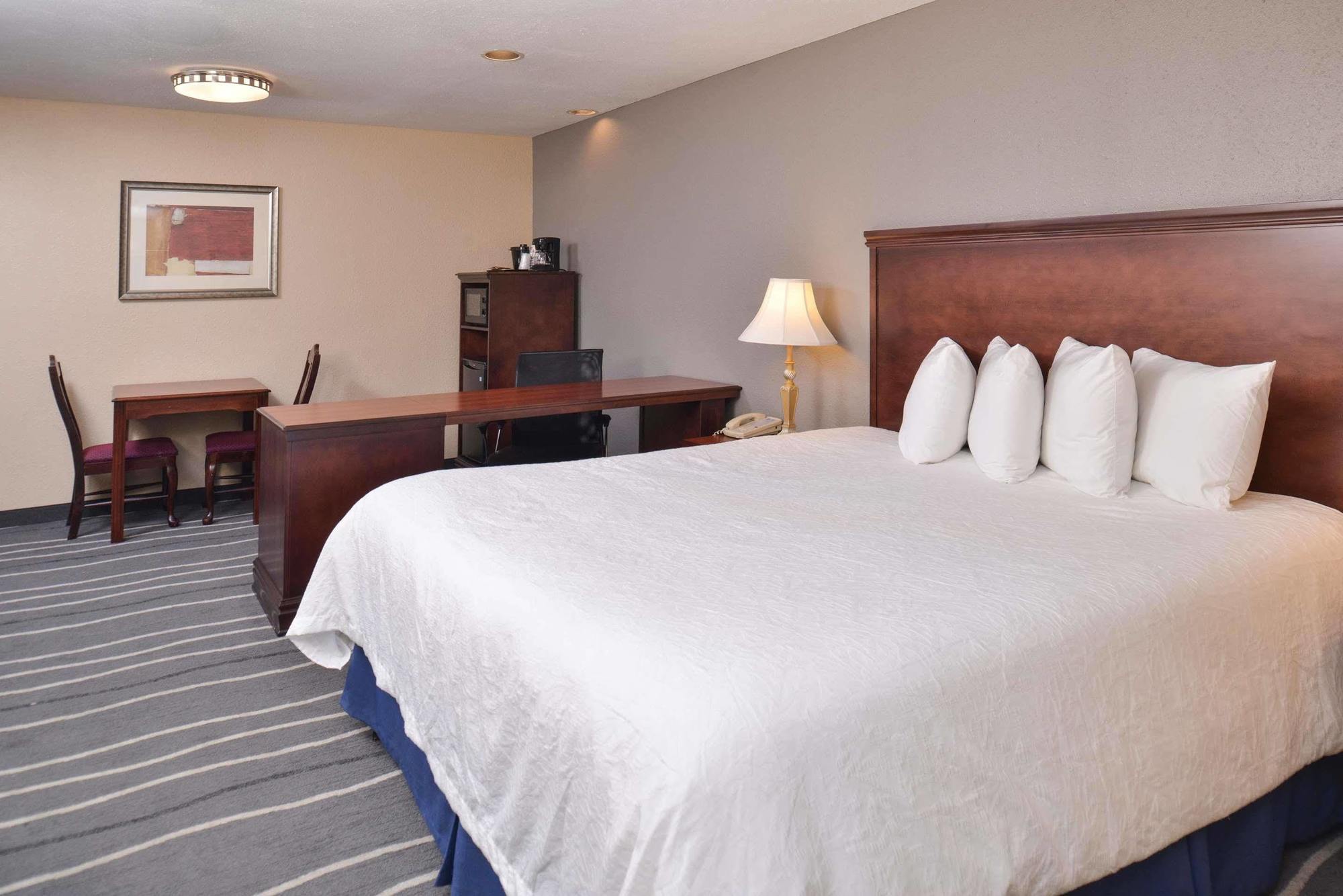 Irving Inn & Suites At Dfw Airport Zewnętrze zdjęcie